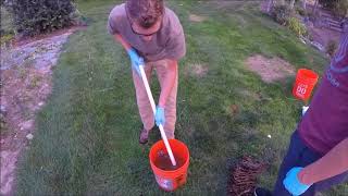 Removing Rust From Foothold Traps With Muriatic Acid pool cleaner [upl. by Hedelman217]