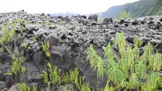 Ile de la Réunion Le Grand brûlé Coulée de lave  Reunion island Grand brûlé Lava [upl. by Evvy]