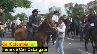 Feria de Cali  Horse Parade  Colombia [upl. by Oberheim]