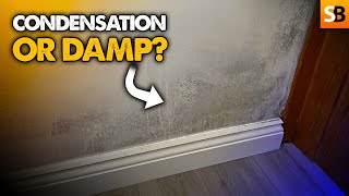 Is This Condensation or Rising Damp [upl. by Meadows302]