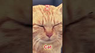 고양이를 발음해 봅시다 Cat pronunciation animation illustration art [upl. by Emoraj658]