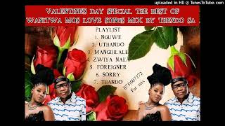 VALENTINES DAY SPECIAL MIX FT THE BEST OF WANITWA MOS AMAPIANO LOVE SONGS MIX BY THENDO SA [upl. by Aynik]