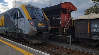 FALL TRAINS 2 For 1 CN Fast Mixed Freight Passes Via Rail Siemens Venture Trainset at Dorval [upl. by Sheedy]