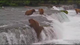 Katmai Brooks Falls Cam BFL Bear  32 Im coming after you 07172024 [upl. by Stoneham443]