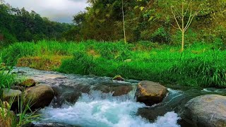 Relaxing River Sounds for Deep Sleep amp Stress Relief  Pure Water Flow for AnxietyFree Relaxation [upl. by Ialohcin]