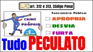 PECULATO  art 312 e 313 do Código Penal  Crimes contra a Administração Pública  Direito Penal [upl. by Ys542]