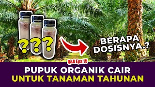 DOSIS PUPUK ORGANIK CAIR UNTUK TANAMAN TAHUNAN  Kelapa Sawit Jakaba Super Bakteri Fotosintesis [upl. by Adnohsal]