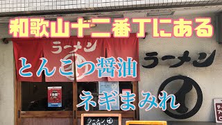 【和歌山ラーメン まるイ】 十二番丁店 ねぎまみれラーメンを食してきました [upl. by Tuneberg]