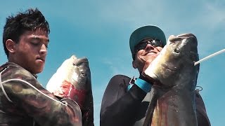 Bowfishing for Cobia HEADSHOT  Cleaning and Cooking [upl. by Guibert]