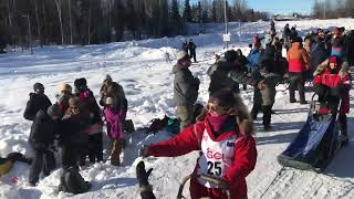 2024 iditarod ceremonial start dog sled race anchorage alaska chester creek trailgate [upl. by Lesko490]