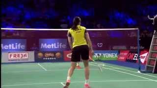 2014 YONEX DENMARK OPEN  F WS  Li X R 1 CHN VS Wang Y H 3 CHN [upl. by Alonso706]