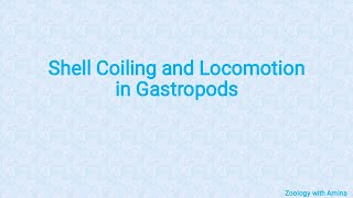 Shell coiling and Locomotion in class Gastropoda  Phylum Mollusca class Gastropoda [upl. by Map]