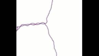 Supercoiling plectoneme formation in DNA detail [upl. by Nikos]