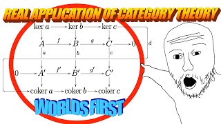 The First Real Application of Category Theory SoME3 [upl. by Nyleak9]