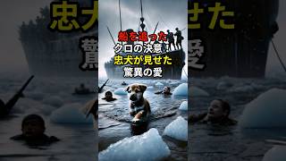 船を追ったクロの決意！忠犬が見せた驚異の愛 海外の反応 外国の反応 外国人の反応 [upl. by Lind]