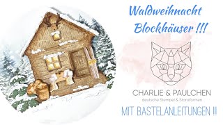 Produktvorstellung Blockhäuser undvm mit Bastelbeispielen [upl. by Namijneb]