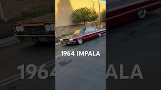 64 Impala🔥 lowrider classic carmodification oldschool automobile oldies westcoast impala [upl. by Goldshell]