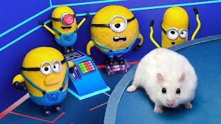 Hamster Adventures In Minions World  If Hamster Was In Despicable Me 4 [upl. by Ludwigg]