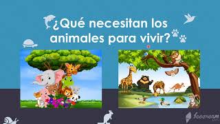 Los mamíferos video para niños Características de los animales mamíferos Peques Aprenden Jugando [upl. by Paulie]