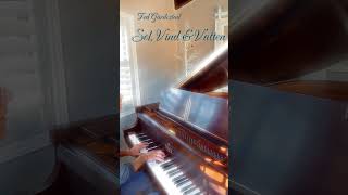 “Sol Vind amp Vatten” by Ted Gärdestad Piano Cover of a Swedish classic English Sun Wind amp Water [upl. by Frech]