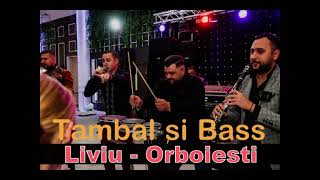 Sistemul Tambal si bass 2010Liviu de la Orboiesti manele live [upl. by Rohpotsirhc]