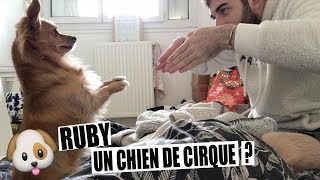 VLOG 9  JAI UN CHIEN DE CIRQUE  MAXIMEMAKEUP [upl. by Acemahs]