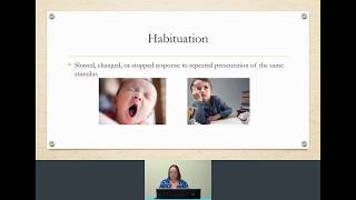 Habituation amp Dishabituation in developmental psychology  with Dr Z [upl. by Aneelahs103]