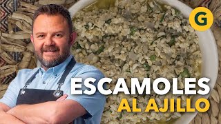 DESDE MÉXICO ESCAMOLES al AJILLO 🥘 por Eduardo Osuna  El Gourmet [upl. by Otilopih]