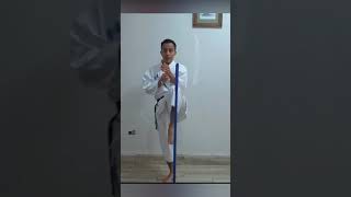 🔺TUTORIAL patada GANCHO how to do karate  Cómo hacer ura mawashi geri [upl. by Norre]