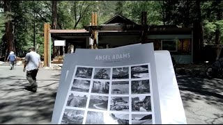 First Issue Ceremony of Ansel Adams stamps at Yosemite [upl. by Adnolohs]