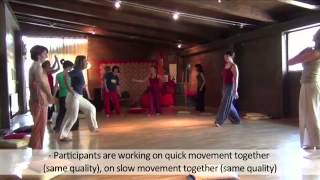 Dance Movement Therapy Video for trainers Art Made Man Integrated Methodology part one [upl. by Ahsimat]