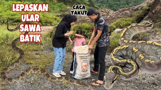 VLOG❗️LEPASKAN ULAR SAWA KAT AREA HUTAN 😨‼️ [upl. by Motteo]