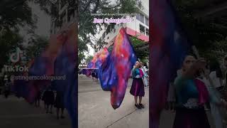 Santolan Drum and Lyre Competition  Best Colorguards 💜💙 colorguard marchingband [upl. by Ydroj]