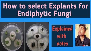 Mycology3How to select plants for endophytes studyPlantsRohit S Mane Scientistracademy [upl. by Picardi488]