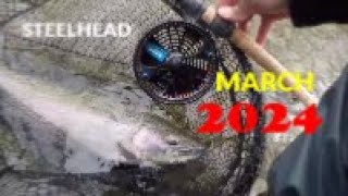 Spring Steelhead Fishing March 2024 [upl. by Killam]