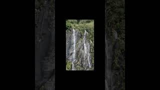 Trident Creek waterfalls  a beautiful waterfall along the Franz Josef glacier walkshorts [upl. by Oglesby]