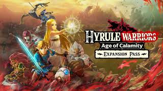 Hyrule Warriors Age of Calamity OST The Battle of Kakariko Village Extended [upl. by Dirgis]