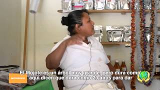 YoSoyJalisccom en Cuautitlan de Garcia Barragan el arte del cafe [upl. by Cirillo]