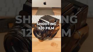 120 Film Photography shorts [upl. by Ahsenauj]