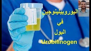 اليوروبيلينوجين في البول Urobilinogen in urine [upl. by Petromilli]