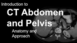 Introduction to CT Abdomen and Pelvis Anatomy and Approach [upl. by Philps778]