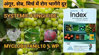 MYCLOBUTANIL 10 wp  Index Systemic Fungicide [upl. by Suivatnad]