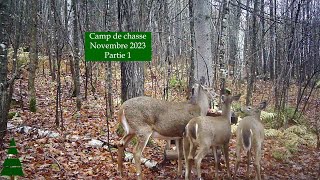 Trail cam Camp de chasse  Novembre 2023  1er partie [upl. by Vipul284]