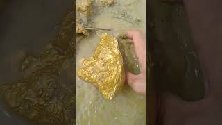 Searching for gold nuggets in the river in the forest goldhunter golddiscovery [upl. by Eibo]