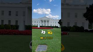 Exploring Washington DC Gems history historyfacts usa explore whitehouse travelvlog travel [upl. by Lennej]