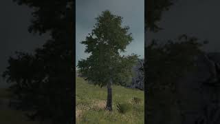 EPIC TREE SIMULATOR GAMEPLAY 2023 [upl. by Astrahan]