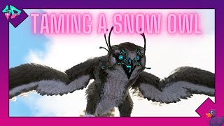 I Tamed Snow Owls Lost Island  Ep 8 Ark Survival Evolved [upl. by Carmon418]