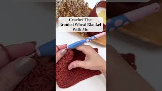 Free Crochet Blanket Pattern  The Braided Wheat Crochet Blanket [upl. by Hoskinson146]