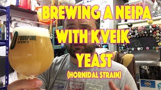 Brewing a NEIPA with Kveik Yeast Hornidal Strain [upl. by Sheila]