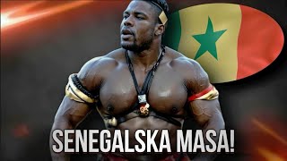 PRZERAŻAJĄCE Metody Senegalskich Gigantów [upl. by Haseefan]